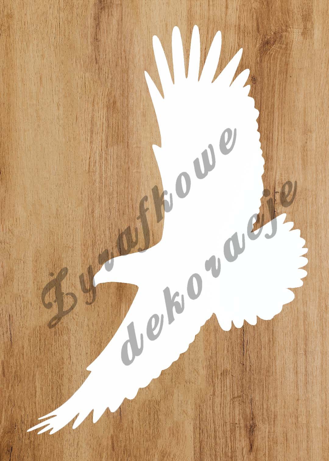 Orzeł lecący biały