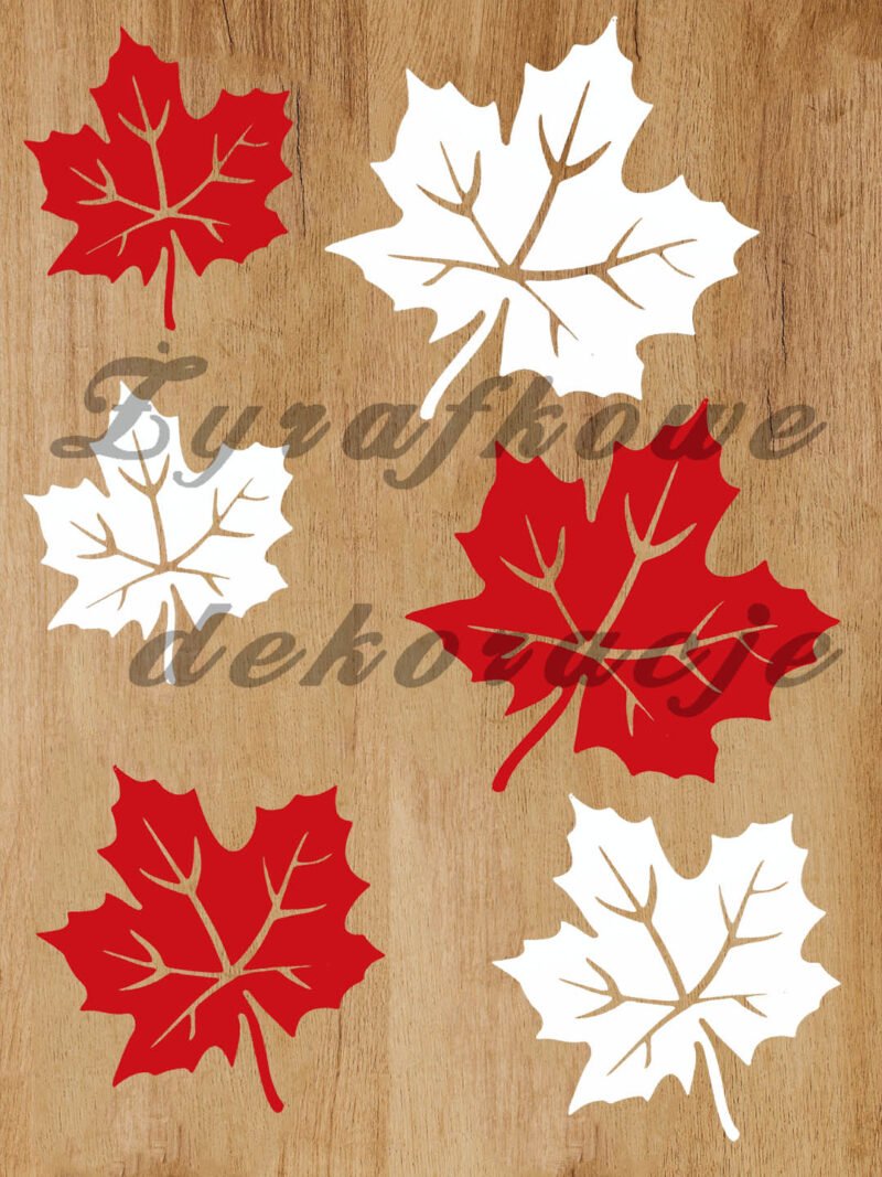 Liście klonu zestaw