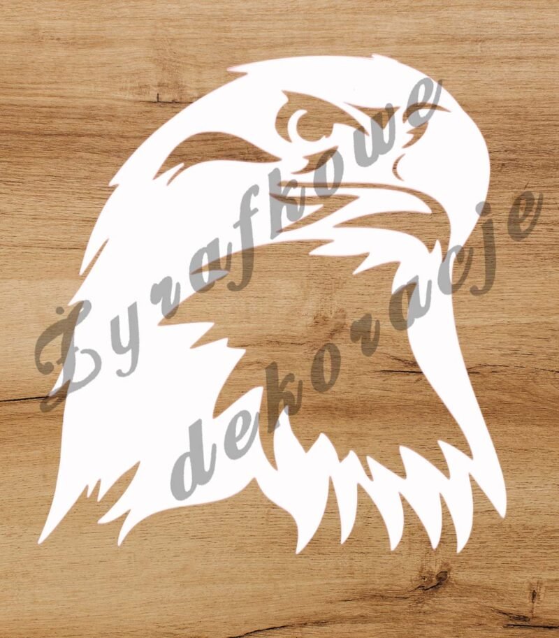 Orzeł głowa biały