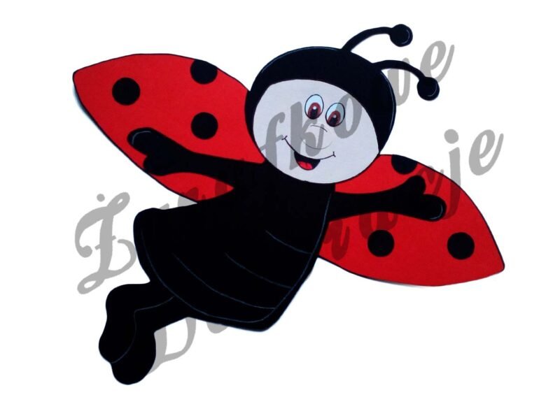 Biedronka lecąca kolor