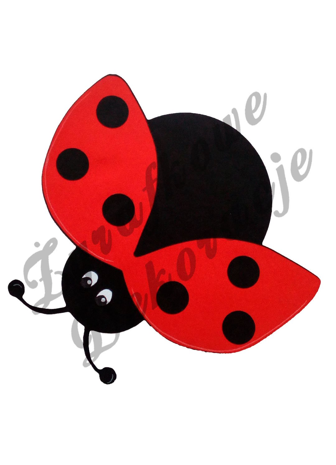 Biedronka ze skrzydłami kolor