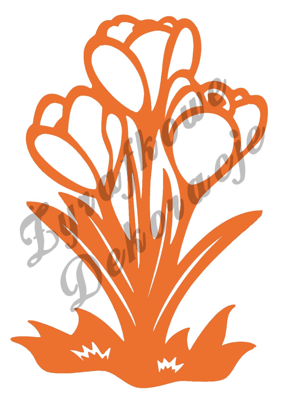 Krokusy pomarańczowy