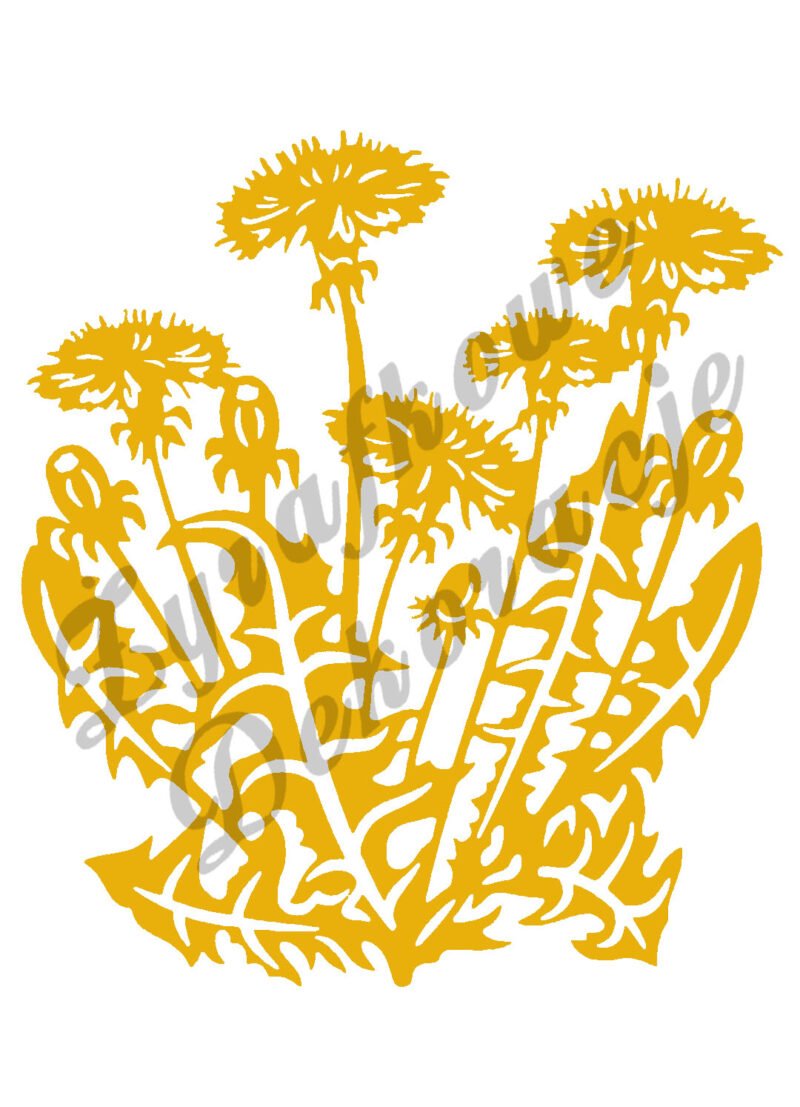 Mniszek lekarski żółty