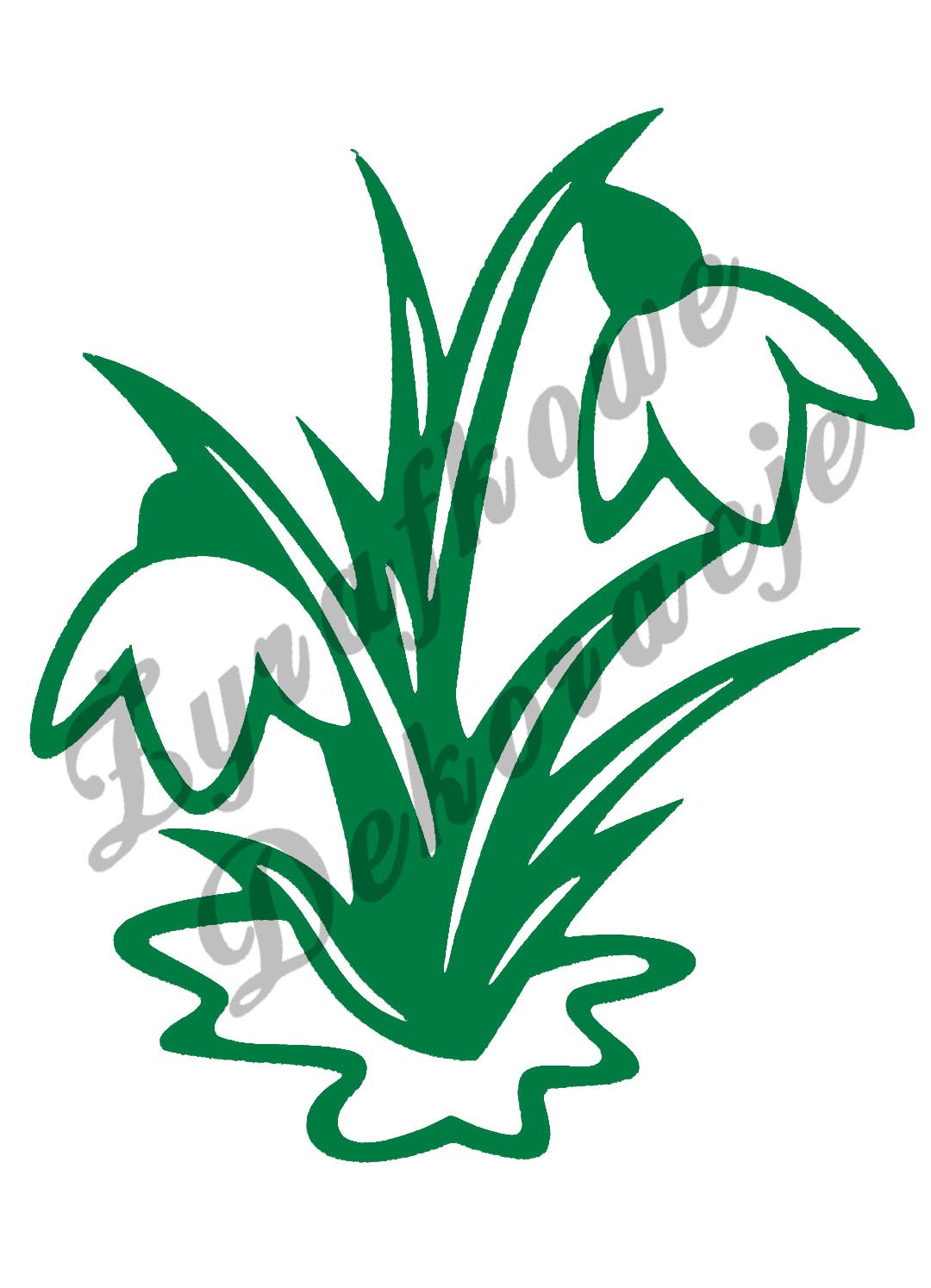 Przebiśnieg zielony