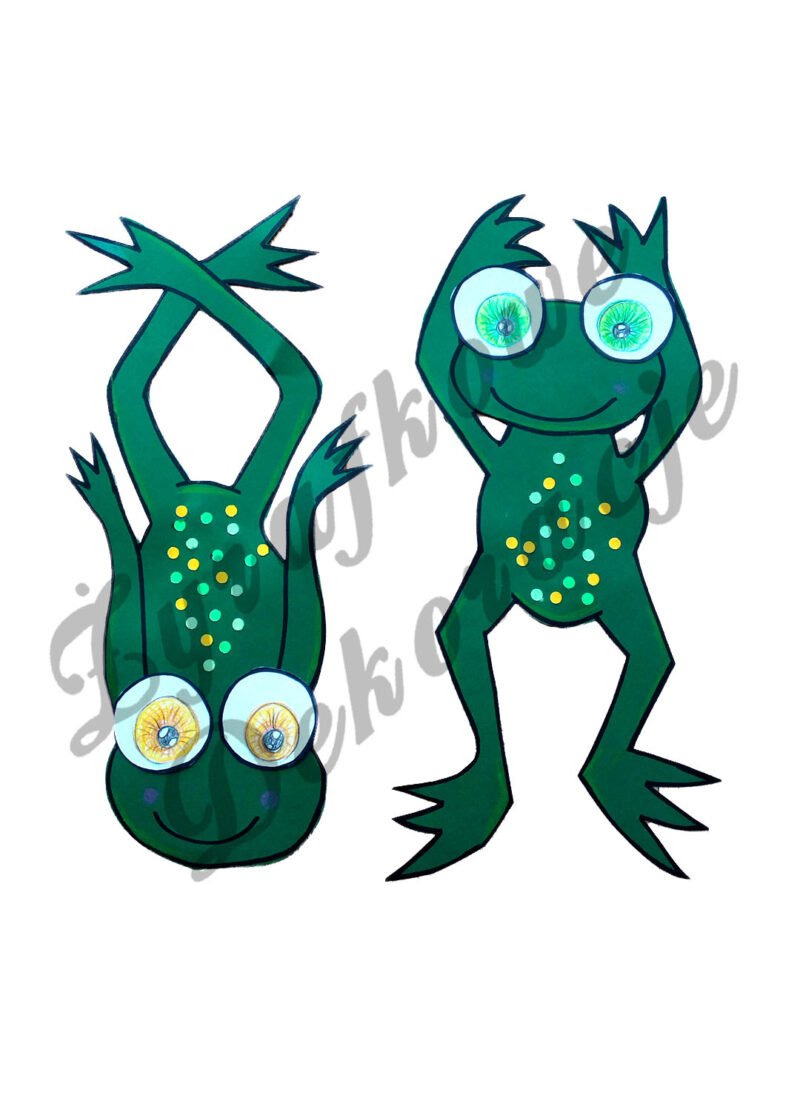 Żaba wisząca zielony ciemny