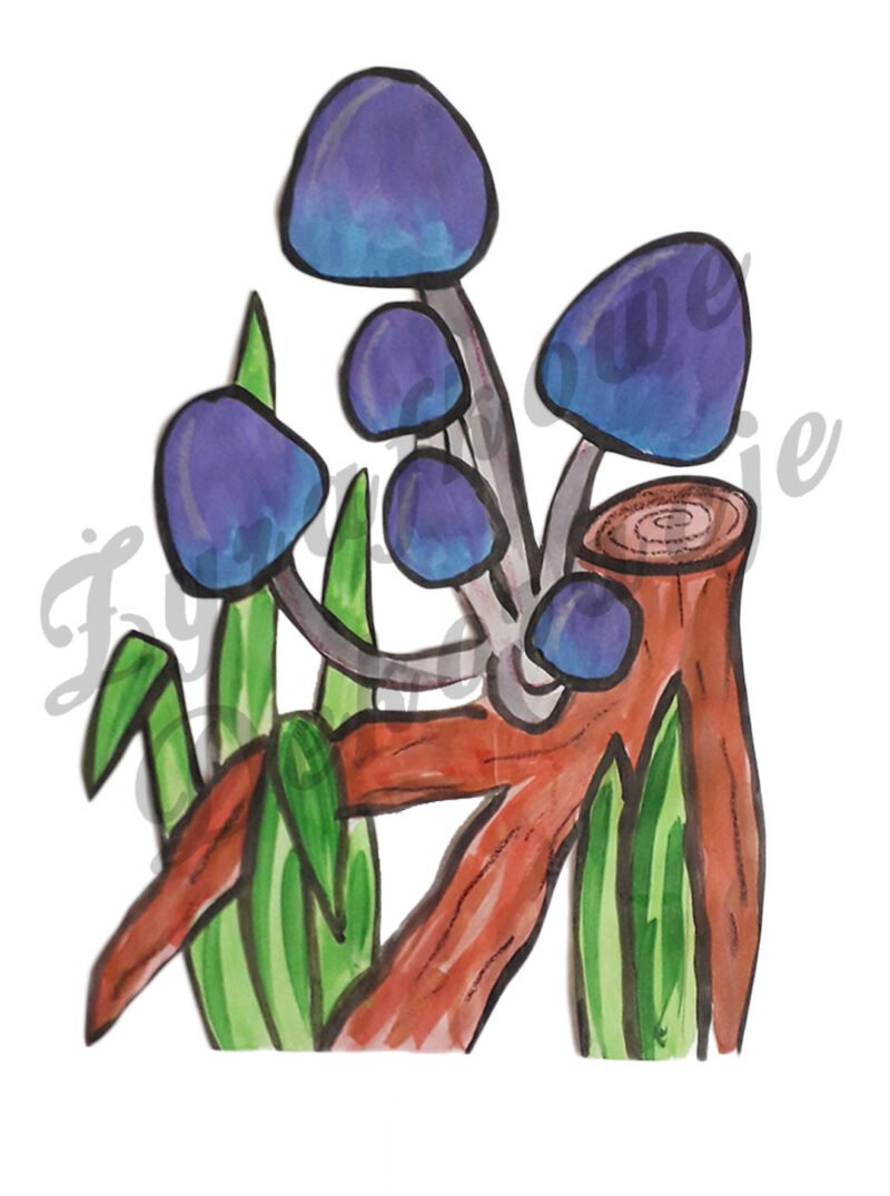 Grzybki halucynki kolor