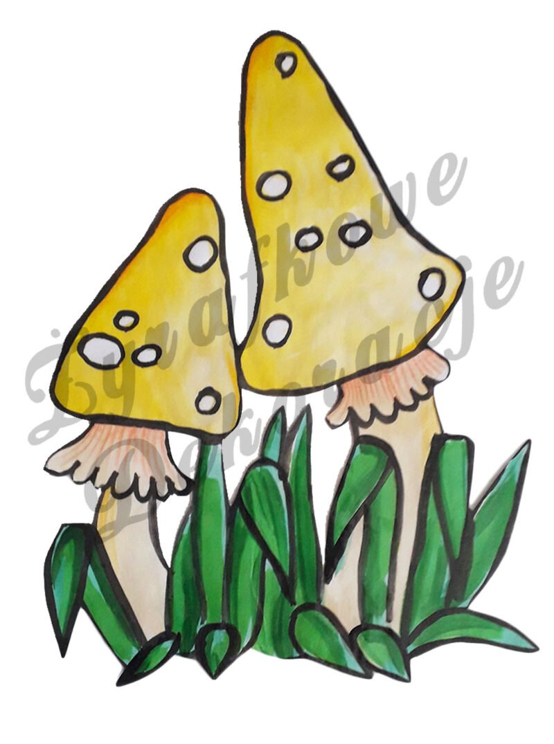 Muchomory cytrynowe kolor