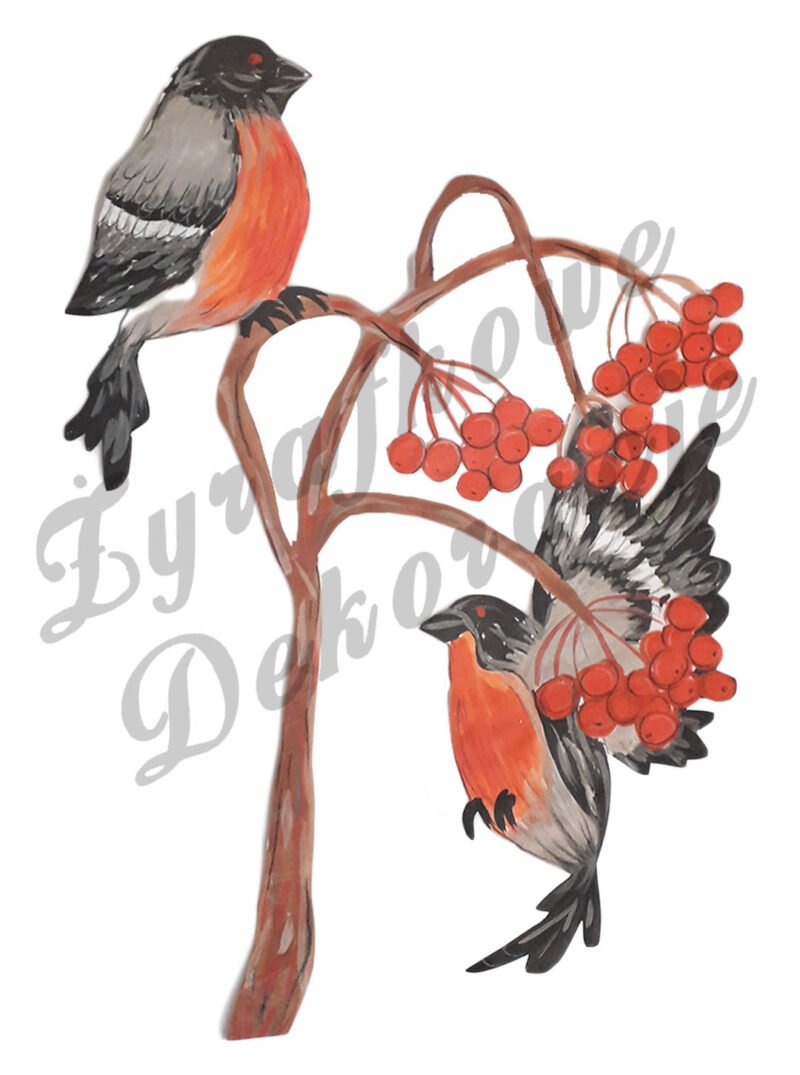 Gile z jarzębiną kolor