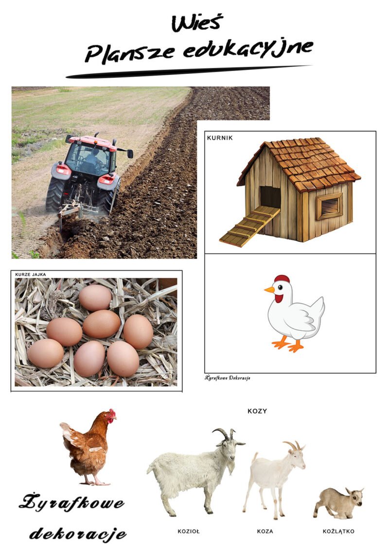 Wieś plansze edukacyjne
