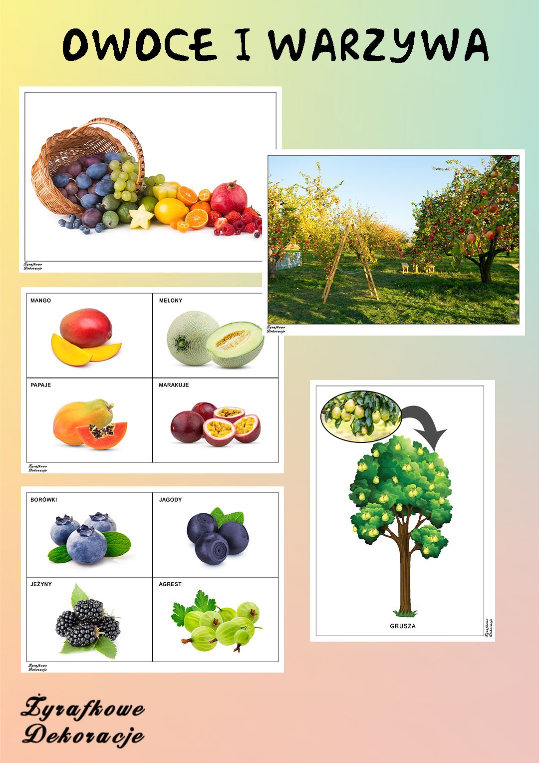 Owoce i warzywa 2